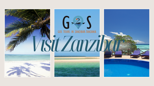 Exploring Zanzibar with GOS Tours: Unforgettable Adventures Await